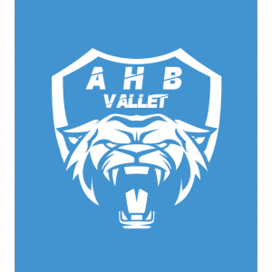 Association Vallet Handball